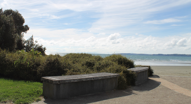 Moana Reserve - Benches lining the path. Photo credit: M Loubser.