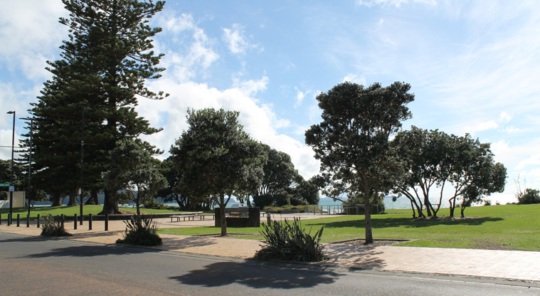 Moana Reserve - The reserve from across the road. Photo credit: M Loubser.
