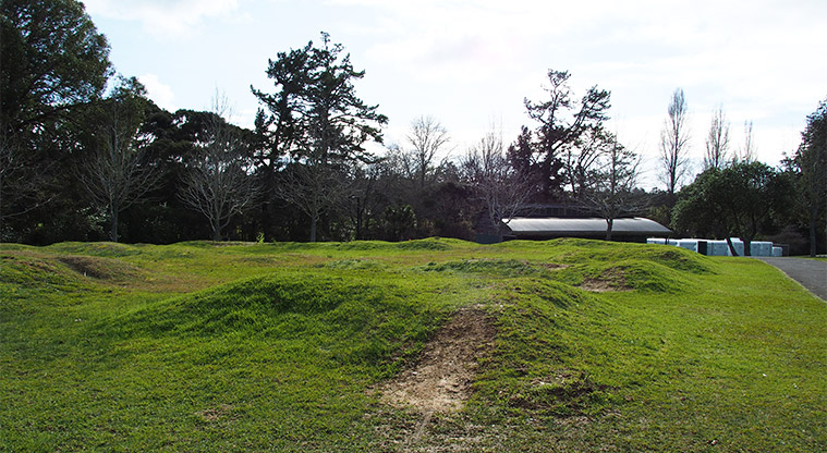 Moire Park - Section of the pump track. Photo credit: Tracey Hodder.