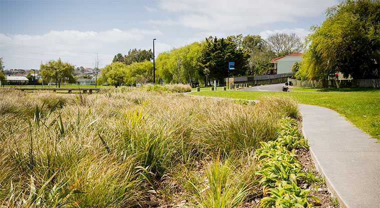 Molley Green Reserve - Path along entrance on Molley Green Place. Photo credit: Jay Farnworth.