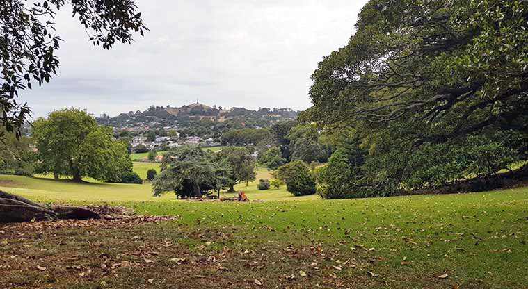 Monte Cecilia Park - Looking down through the park at some of the collection of large and exotic trees.