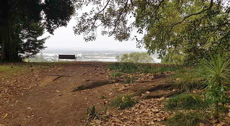 Monte Cecilia Park - Bench at the top of the slope is a lovely spot to sit and look out over the Manukau Harbour.