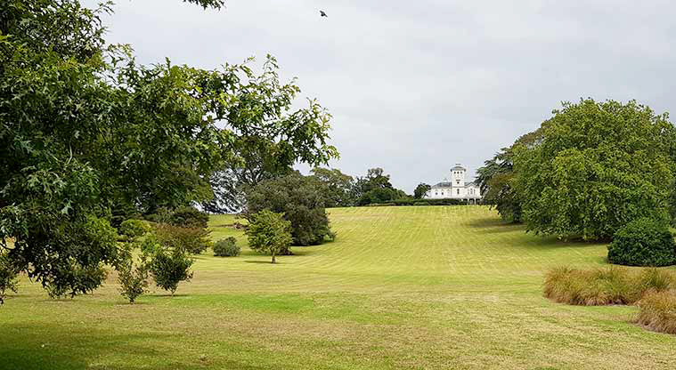 Monte Cecilia Park - Large open green space with the Pah Homestead at the top of the hill in the background.