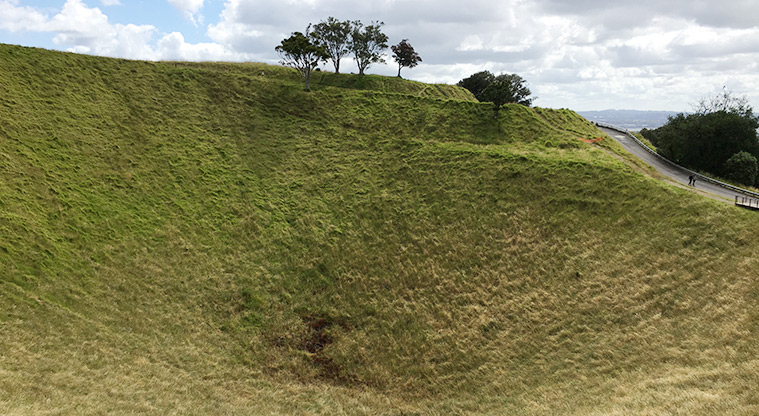 Maungawhau / Mt Eden - Looking down into one of the craters from part way up the boardwalk.