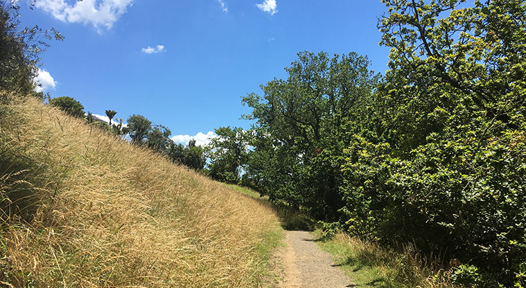 Ōhinerau / Mount Hobson - Section of gravel path around the side of the maunga.