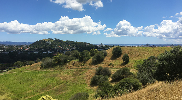 Ōhinerau / Mount Hobson - View looking across the maunga and a track in the background.