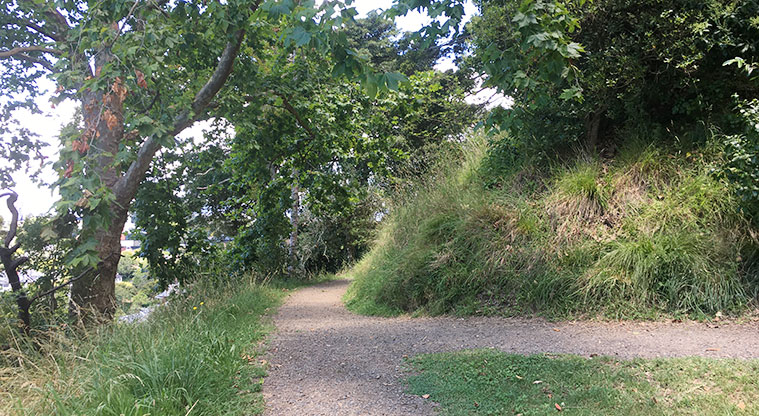 Ōhinerau / Mount Hobson - Section of the maunga where two paths meet.
