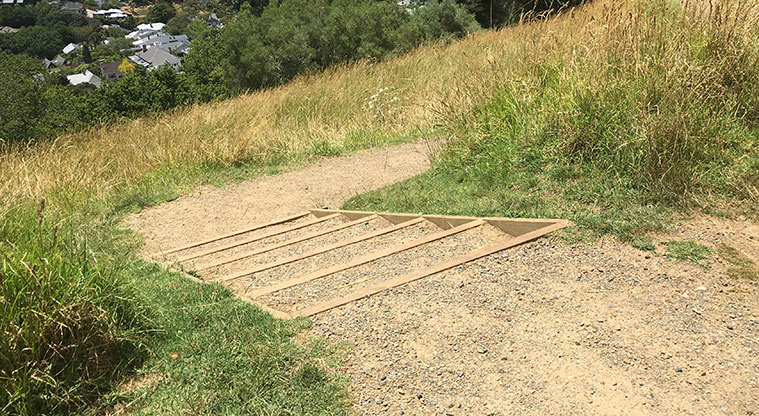 Ōhinerau / Mount Hobson - Small section of wooden steps going down the side of the maunga.