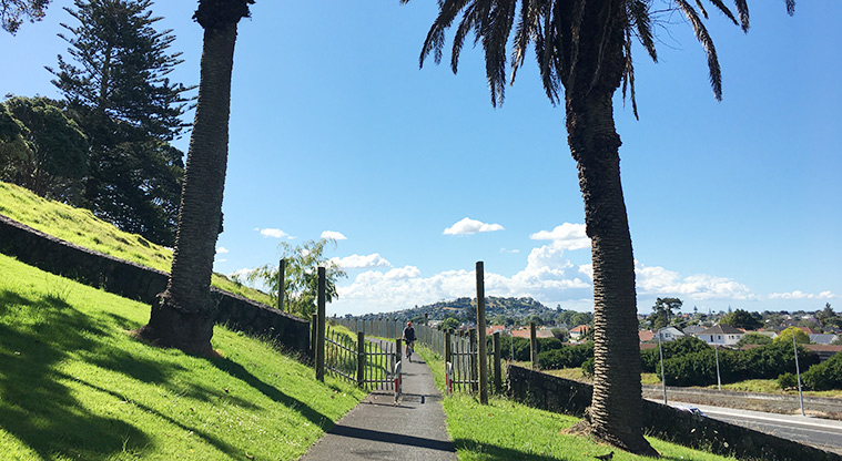 Pukewīwī / Puketāpapa / Mount Roskill - Section of the cycle path running between the maunga and the motorway. Photo credit: S Hulse.