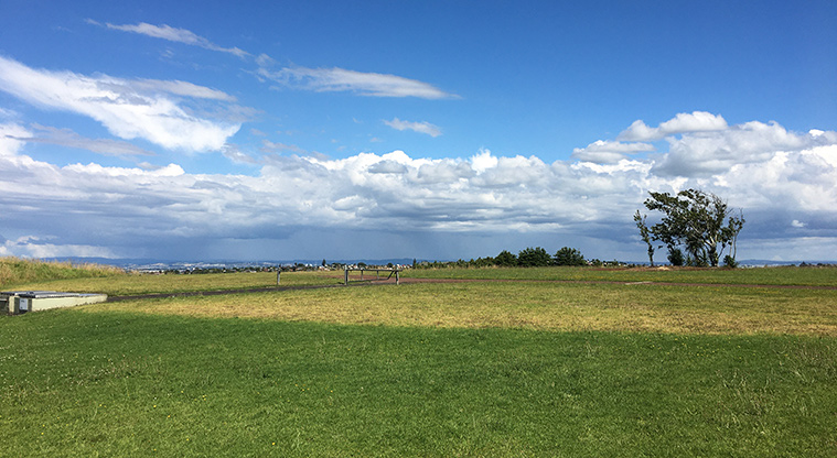 Pukewīwī / Puketāpapa / Mount Roskill - Open grassed space at the top of the maunga. Photo credit: S Hulse.