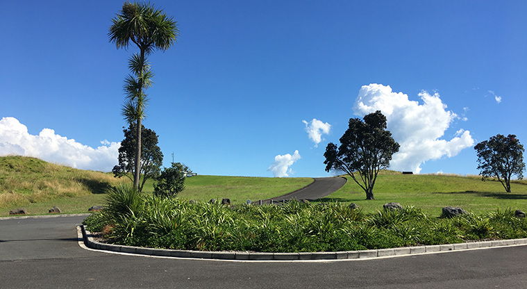Pukewīwī / Puketāpapa / Mount Roskill - Intersection of the roads with trees and open space. Photo credit: S Hulse.