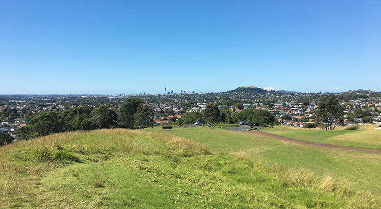 Pukewīwī / Puketāpapa / Mount Roskill - View from the top of the maunga.