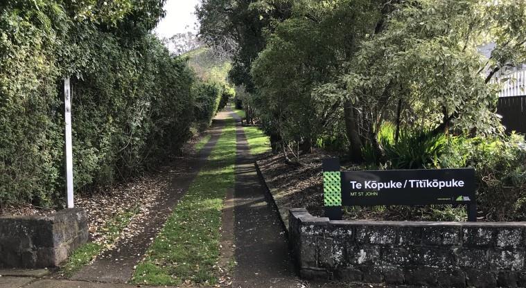 Te Kōpuke / Tītīkōpuke / Mount St John - Sign at one of the entrances to the maunga. Photo credit: S Hulse.