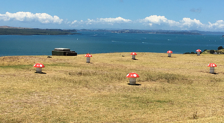 Takarunga / Mount Victoria - Ventilation ducts painted as mushrooms scattered along the summit. Photo credit: S Hulse