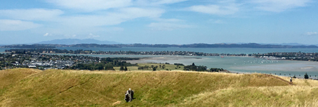 Mount Wellington Domain