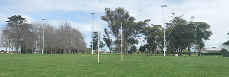 Mountfort Park