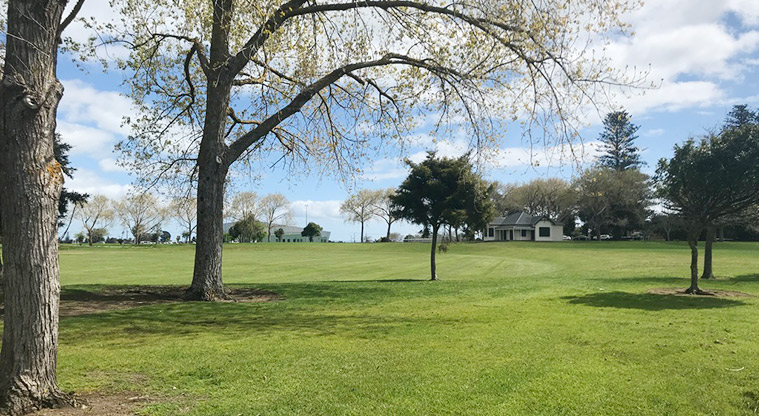 Mountfort Park - Open grassed area with lots of established trees.