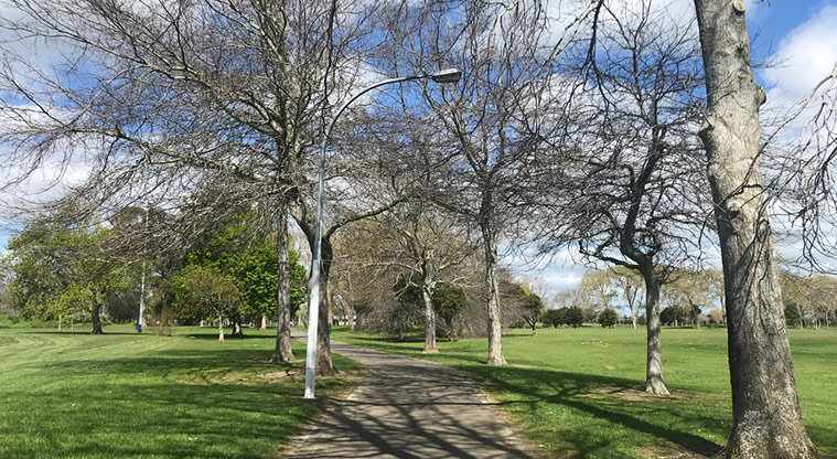 Mountfort Park - Path through the park with trees on both sides.