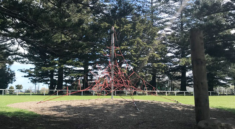 Mountfort Park - Climbing nets set among the trees.