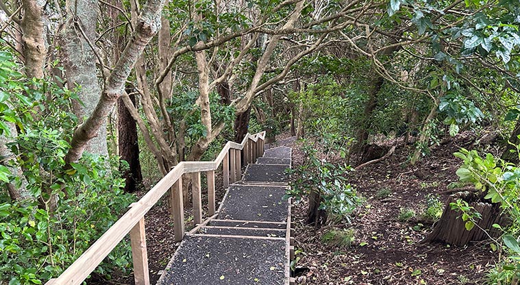 Ōwairaka / Te Ahi-kā-a-Rakataura / Mt Albert - Steps with a hand rail leading up the side of the maunga. Photo credit: S Hulse.