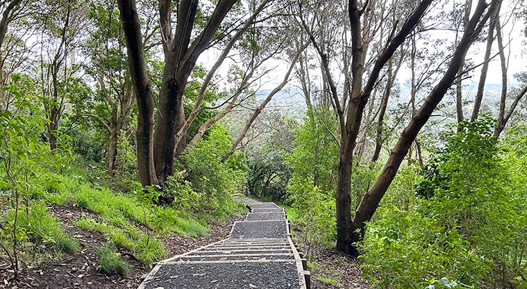 Ōwairaka / Te Ahi-kā-a-Rakataura / Mt Albert - Section of steps around the maunga. Photo credit: S Hulse.