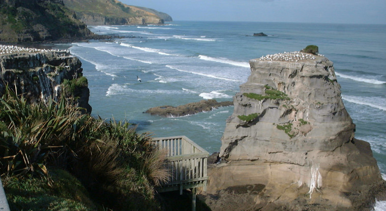 Muriwai Regional Park - View of the gannet colony.