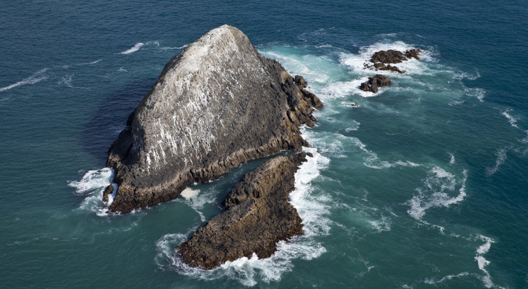Muriwai Regional Park - Oaia Island.