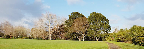 Ngāti Ōtara Park