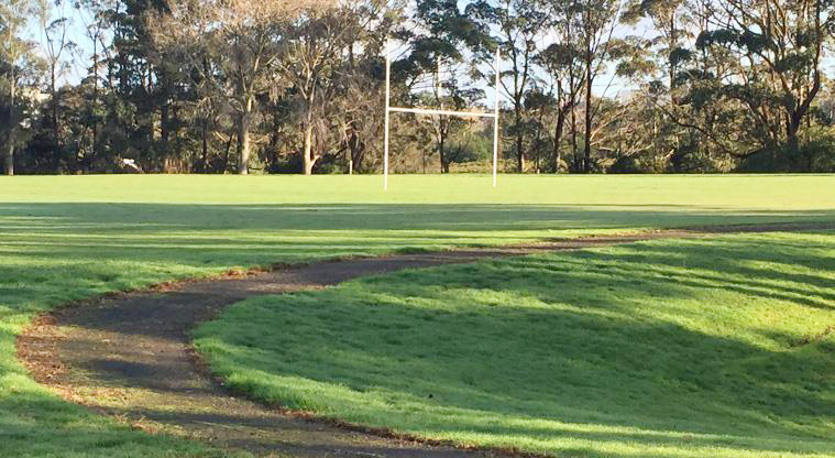 Ngāti Ōtara Park - Section of the sports field with a track in the foreground.