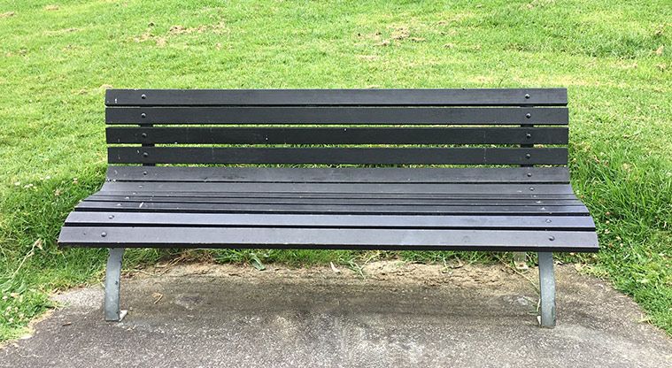 Nixon Park - Seat on the edge of the path. Photo credit: S Hulse.