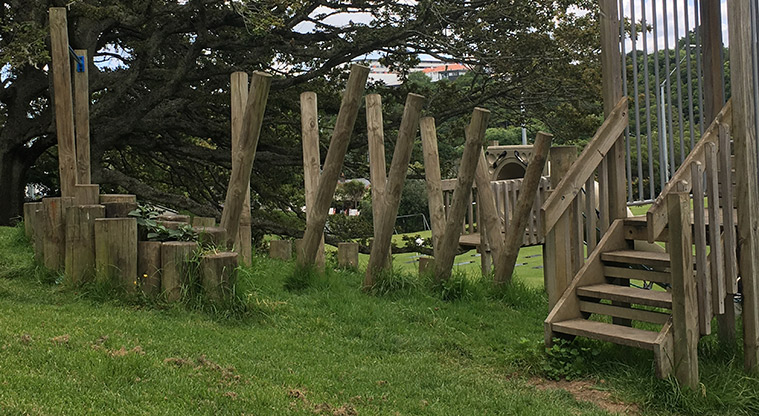 Nixon Park - Climbing logs for older kids at the top of the hill. Photo credit: S Hulse