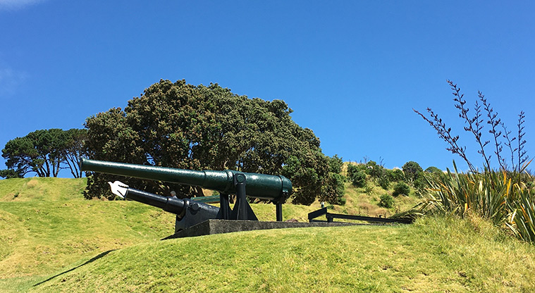 Maungauika / North Head - Canon sitting in a clearing part way up the maunga.