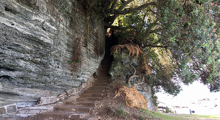Maungauika / North Head - Section of steps down to the waters edge.