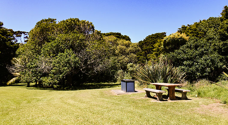 Okiwi Park - Open grassed area, a barbecue and picnic table with bush in the background.