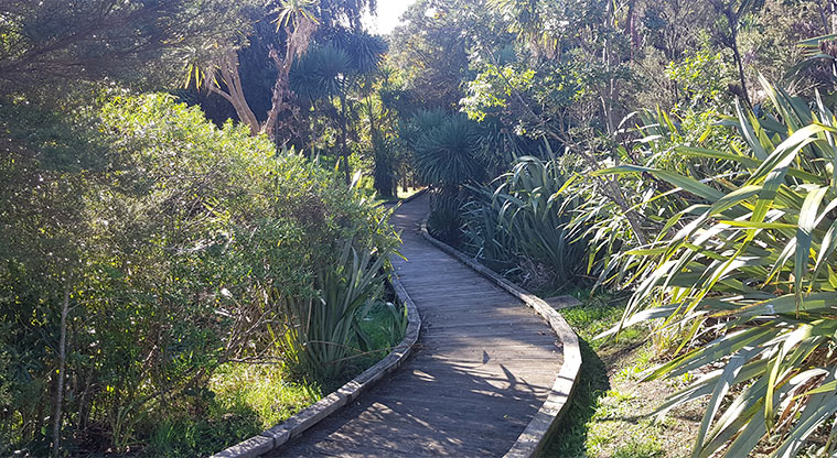 Olympic Park - Section of the bush trail through the park.