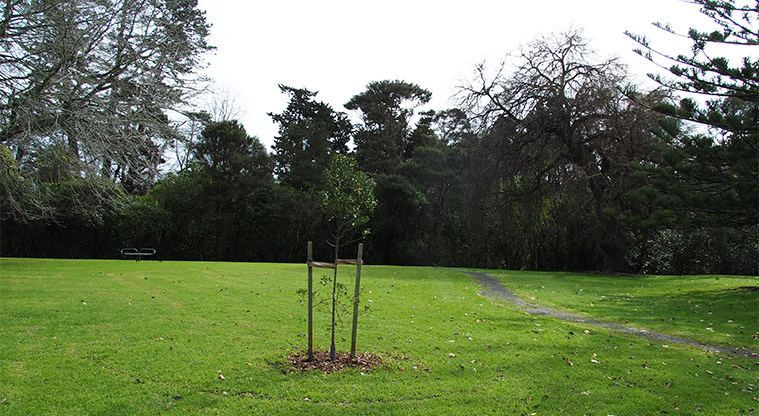 Opanuku Reserve - Open grassy area with trees and a path. Photo credit: Tracey Hodder.