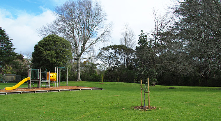 Opanuku Reserve - Open green space with trees and the playground. Photo credit: Tracey Hodder.