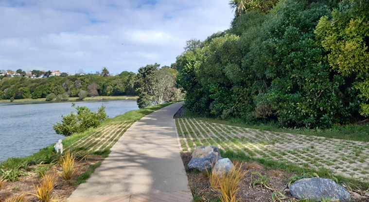Ōrākei Basin Reserve - Section of the path around the basin with trees and houses in the background.