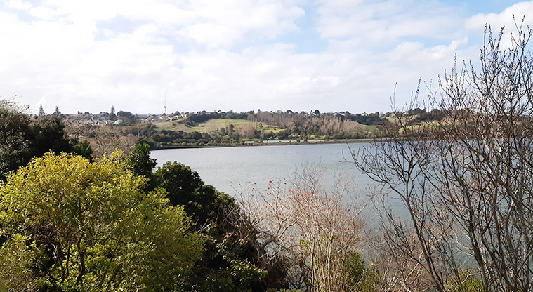 Ōrākei Basin Reserve - View over the basin with the path and trees in the foreground and background.