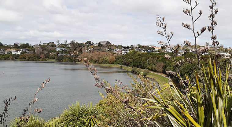 Ōrākei Basin Reserve - View over the basin with the path and trees in the foreground and background.