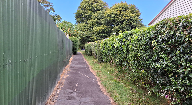 Orchard Reserve - Walkway to the reserve from Avondale Road. Photo credit: T Hodder.