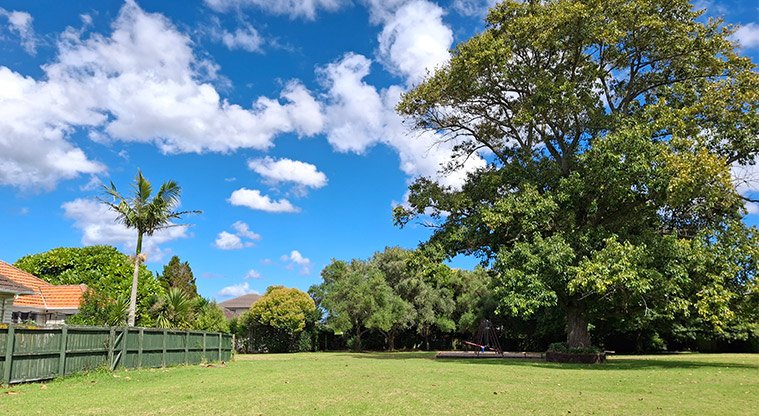 Orchard Reserve - Open grassed area with a large tree in the middle and smaller trees in the background. Photo credit: T Hodder.