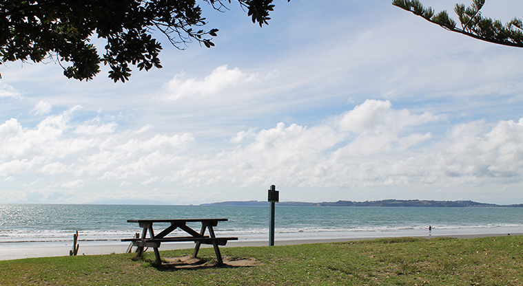 Ōrewa Domain - Picnic table overlooking the beach. Photo credit: M Loubser.