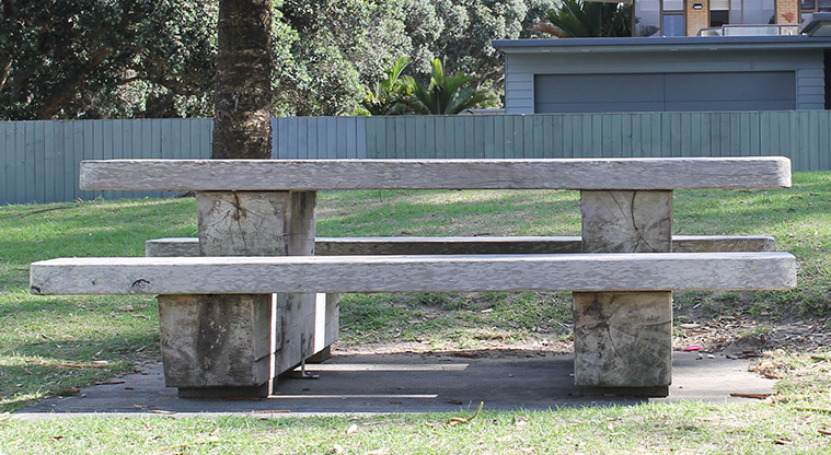 Ōrewa Domain - Picnic table under a tree. Photo credit: M Loubser.
