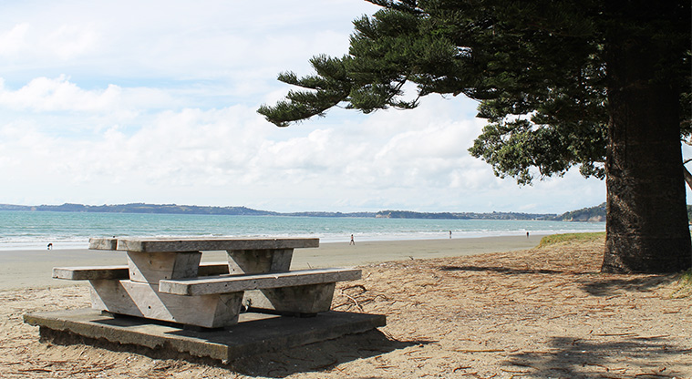 Ōrewa Domain - Picnic table overlooking the beach. Photo credit: M Loubser.