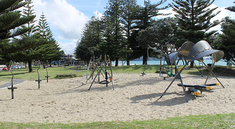 Ōrewa Domain - Southern playground has balancing, swinging and climbing equipment on a sand base. Photo credit: M Loubser.