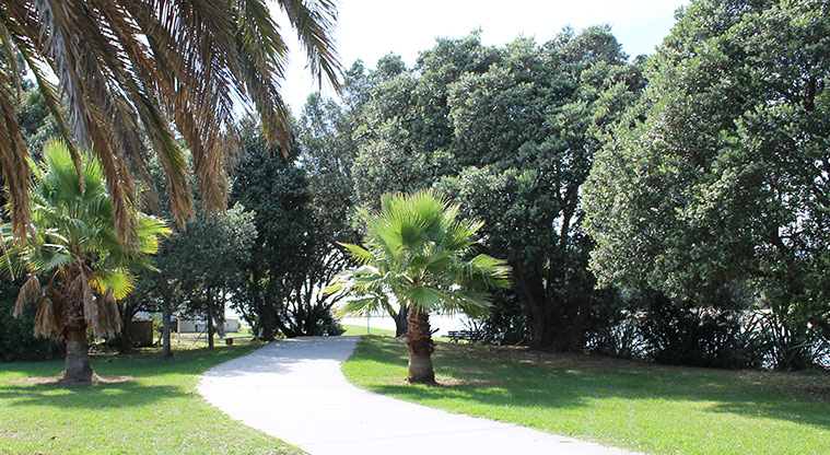 Ōrewa Estuary - Path running through the park with trees on both sides. Photo credit: M Loubser.