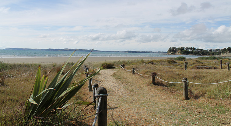 Ōrewa Reserve - Beach access path with bollards and ropes on both sides. Photo credit: M Loubser.