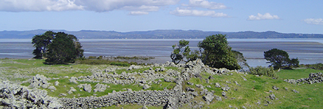 Ōtuataua Stonefields Reserve