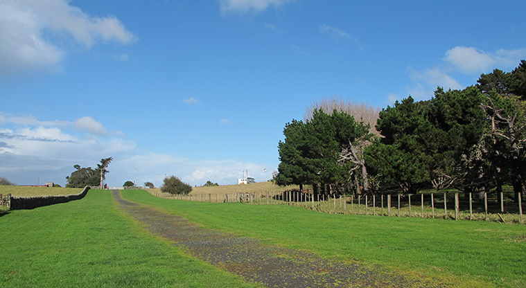 Ōtuataua Stonefields Reserve - View along a section of path from the car park.